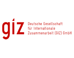 GIZ logo